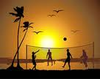 I Play Volleyball On The Beach Image